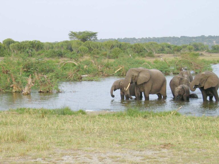 Uganda joins the Clean Seas Campaign to stop plastic pollution