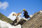 Bobcat partners with National Disaster Search Dog Foundation