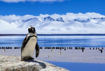 Costain joins Antarctic Quest 21 climate change expedition