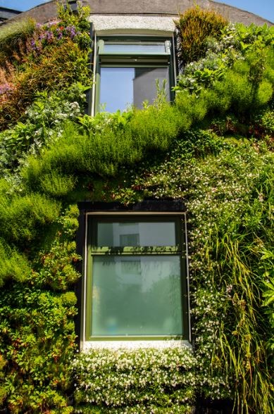 University of Plymouth The Sustainability Hub at the University of Plymouth has been retrofitted with an exterior living wall façade, comprised of a flexible felt fabric sheet system with pockets allowing for soil and planting