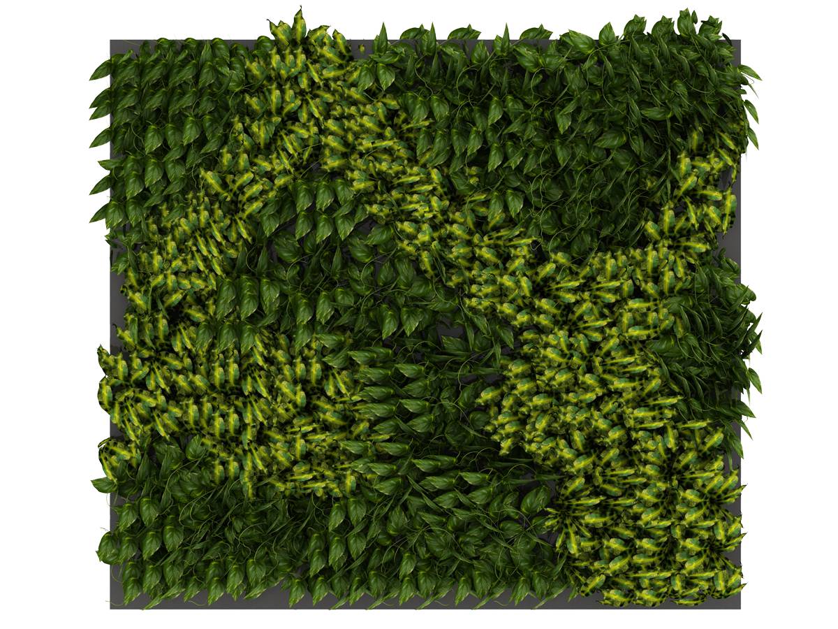 University of Plymouth finds living walls can reduce heat lost by over 30 percent