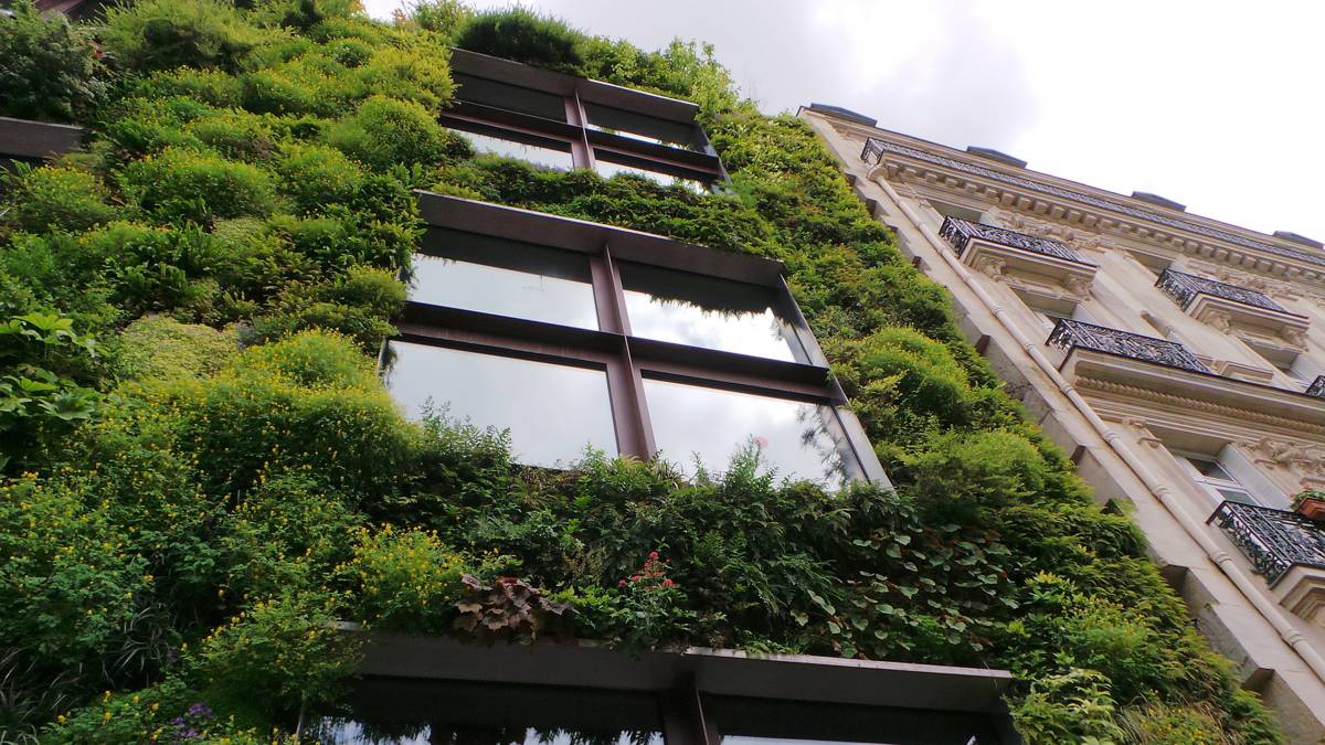 University of Plymouth finds living walls can reduce heat loss by over 30 percent