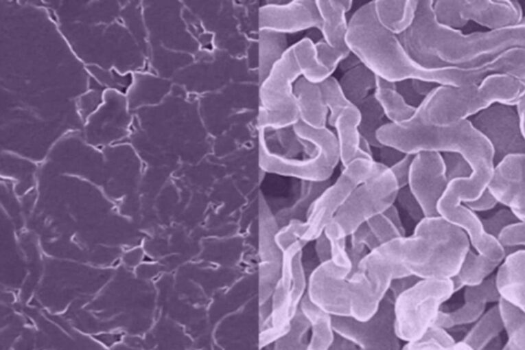 Sodium battery technology paving  the way for a faster, better and stronger future