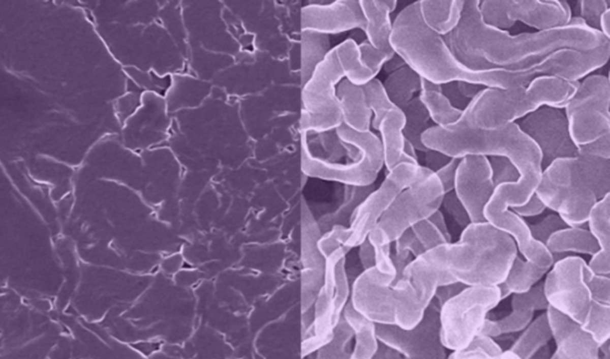 Scientists at the University of Texas at Austin have developed a new sodium metal anode for rechargeable batteries (left) that resists the formation of dendrites, a common problem with standard sodium metal anodes (right) that can lead to shorting and fires. Images were taken with a scanning electron microscope. Image by Yixian Wang/University of Texas at Austin.