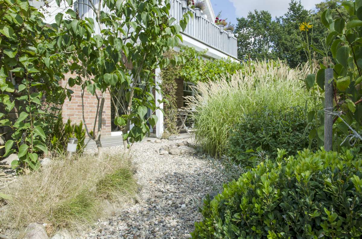 New ACO Water Management guide explores landscape design and sustainability