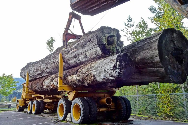 Trade Organisations can lead the way on Safe Stowage