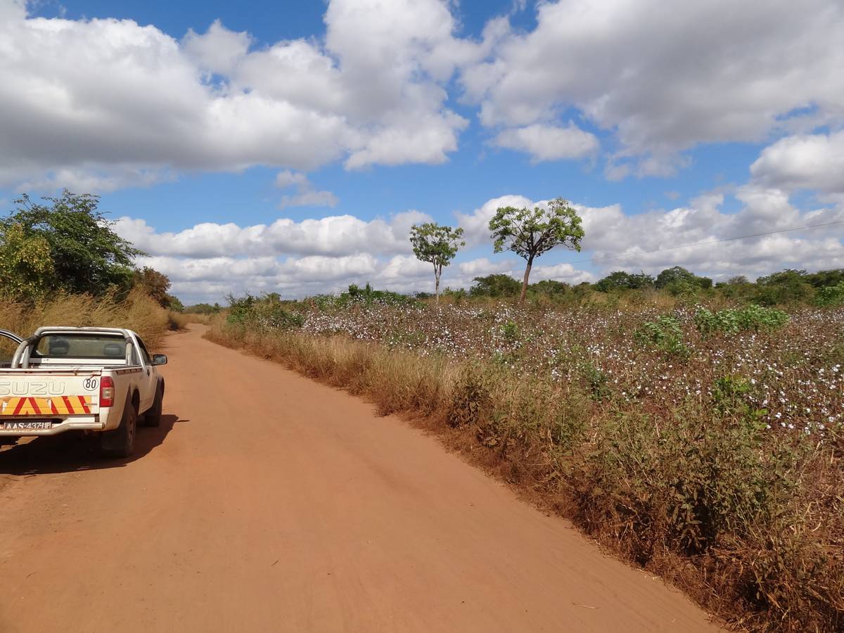 Fig. 5: Montepuez - Ruaca Road Upgrading Project (Mozambique) (photo credit: Andrea Pugliaro, 2009/2022)