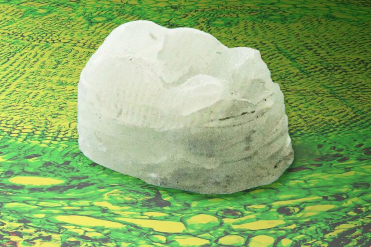 MIT engineers plant-derived composite as tough as bone and hard as aluminium