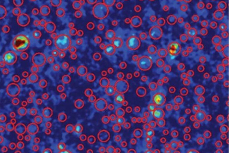 Atomic-scale Element Ordering responsible for the strength of Metallic Alloys