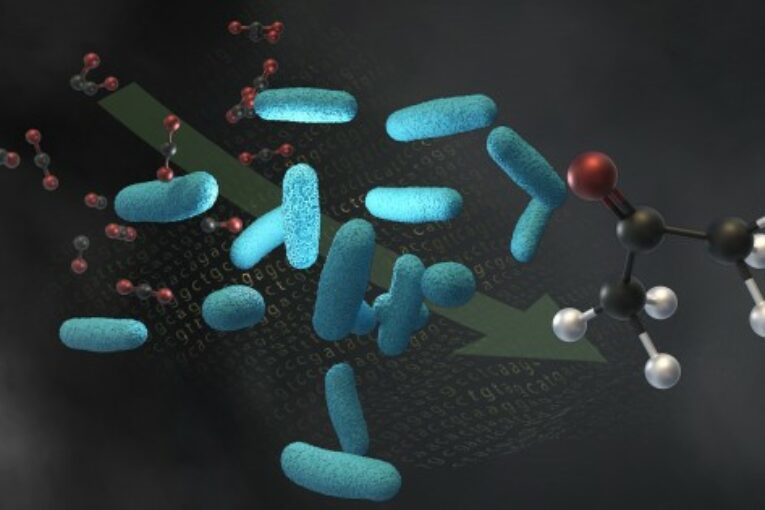 New carbon-negative technology could turn waste gases into valuable chemicals
