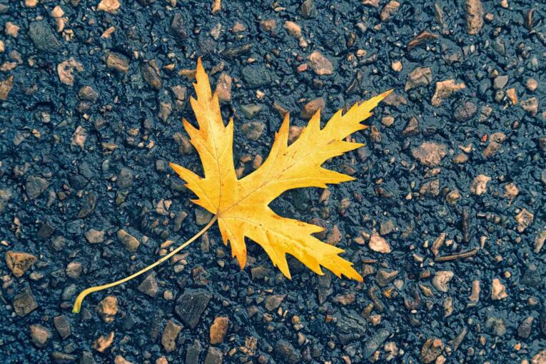 Aggregate Industries brings Biogenic Asphalt to the UK