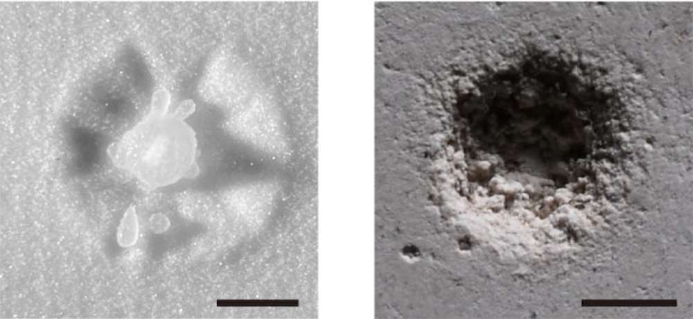 Cheng Research Group, University of Minnesota A new study led by University of Minnesota Twin Cities researchers shows why liquid droplets have the ability to erode hard surfaces, a discovery that could help engineers design more erosion-resistant materials. The above image shows the impact droplets can make on a granular, sandy surface (left) versus a hard, plaster (right) surface.