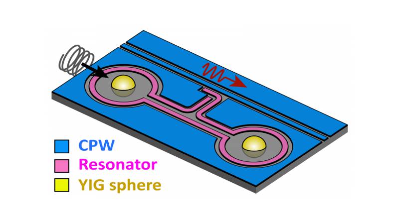 (Image by Yi Li/Argonne National Laboratory.) Schematic of the remote magnon-magnon coupling circuit. Two single-crystal YIG spheres are embedded to the NbN coplanar superconducting resonator circuit, where microwave photon mediates coherent magnon-magnon interaction.