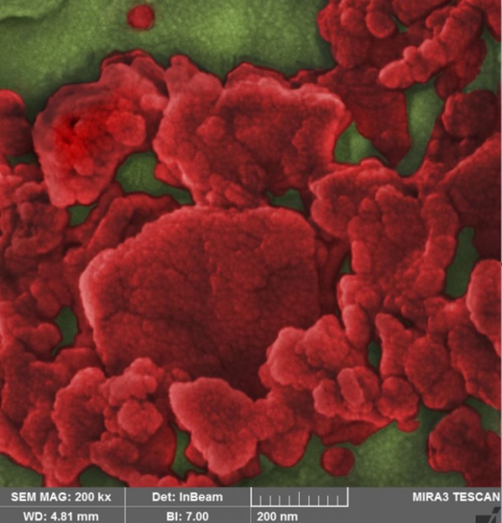 Goshtasp Cheraghian/ Technical University of Braunschweig. The distribution of clay/fumed silica nanocomposites on the surface of binders at the nanoscale.