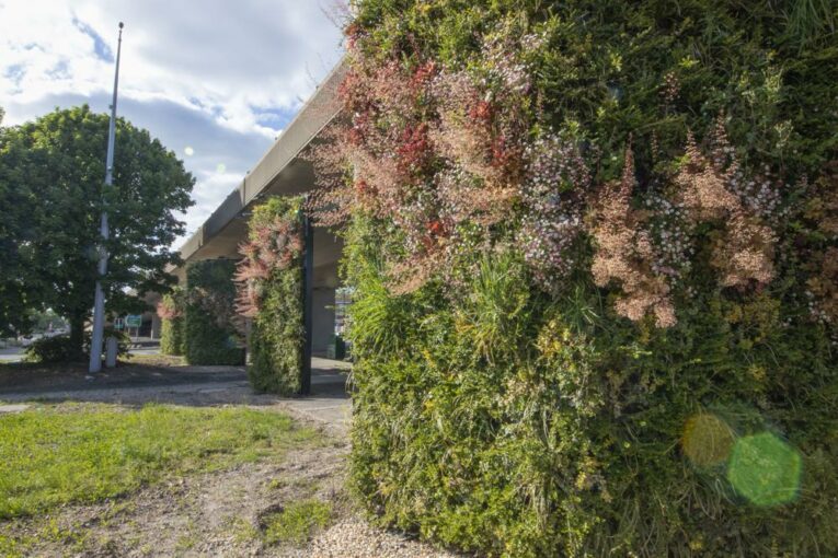 Southampton reducing Air Pollution with Living Walls