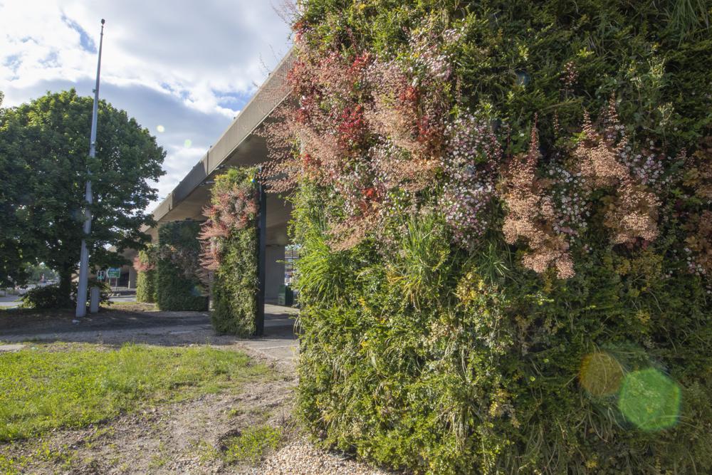 Southampton reducing Air Pollution with Living Walls
