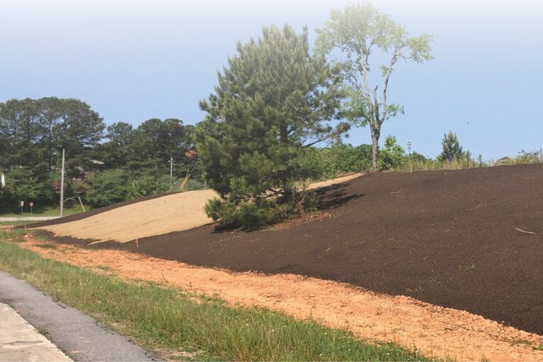 Slope Stabilization Project in Georgia wrapped up by The Ray, GDoT and UGA