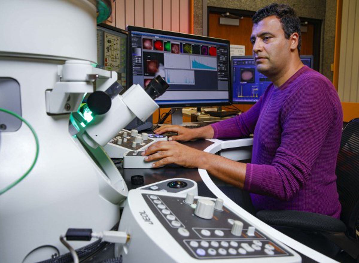 Credit: UIC College of Engineering Professor Reza Shahbazian-Yassar with the ARM microscope. UIC College of Engineering Professor Reza Shahbazian-Yassar with the ARM microscope.