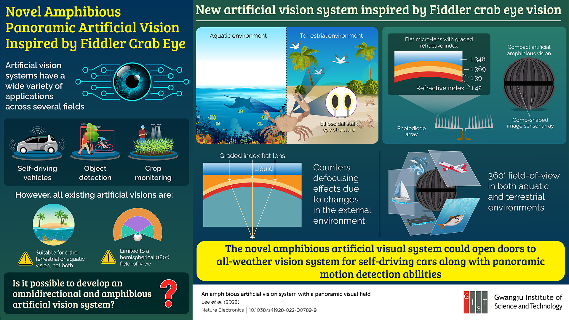Fiddler Crab Eye inspires research into novel Artificial Vision solution