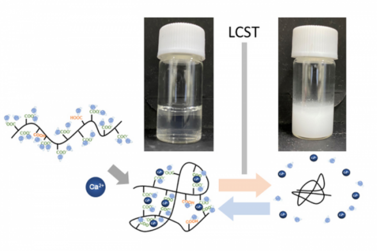 Smart materials and Metal Cations respond to Temperature