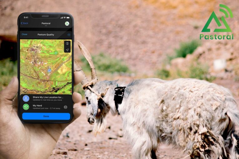 Pastoral reducing CO2 emissions in environmentally disruptive farming practices