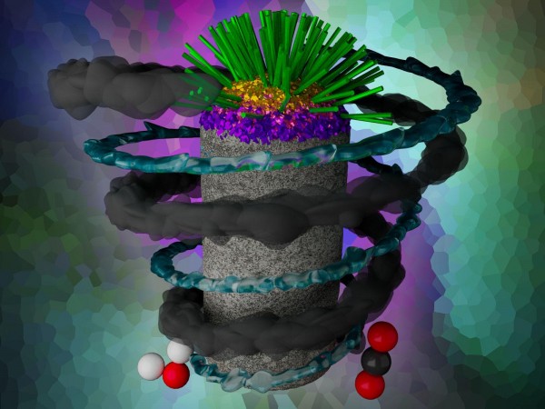 Credit: Illustration by Cortland Johnson | Pacific Northwest National Laboratory Mineralizing carbon dioxide underground is a potential carbon storage method.