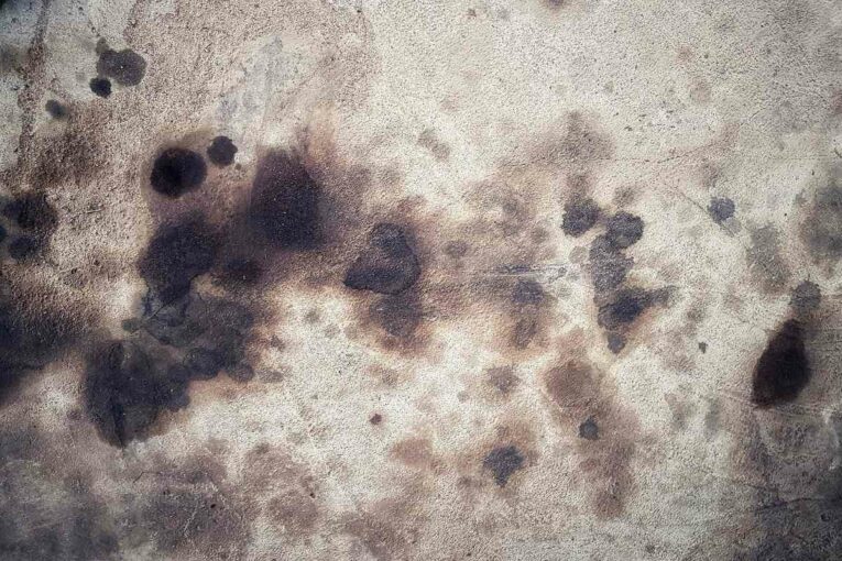 Research finds Concrete breaks down in Vegetable Oil