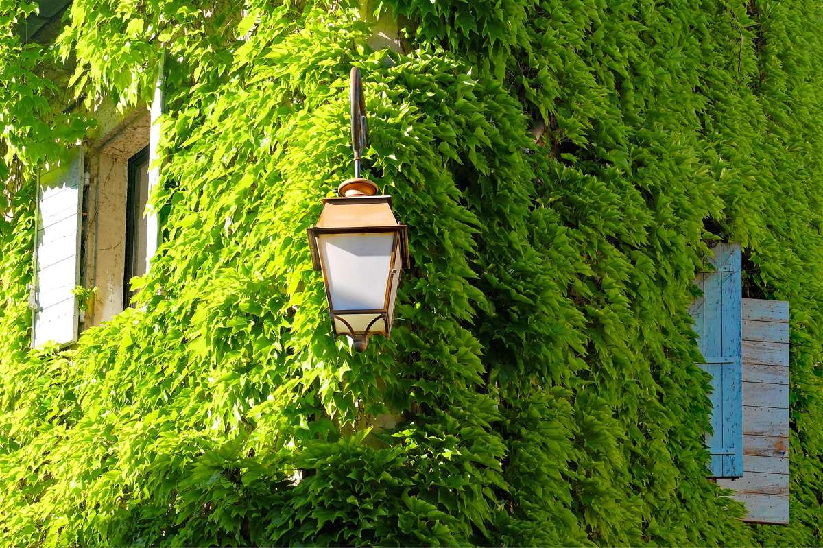 Essential considerations for Designing Green Buildings