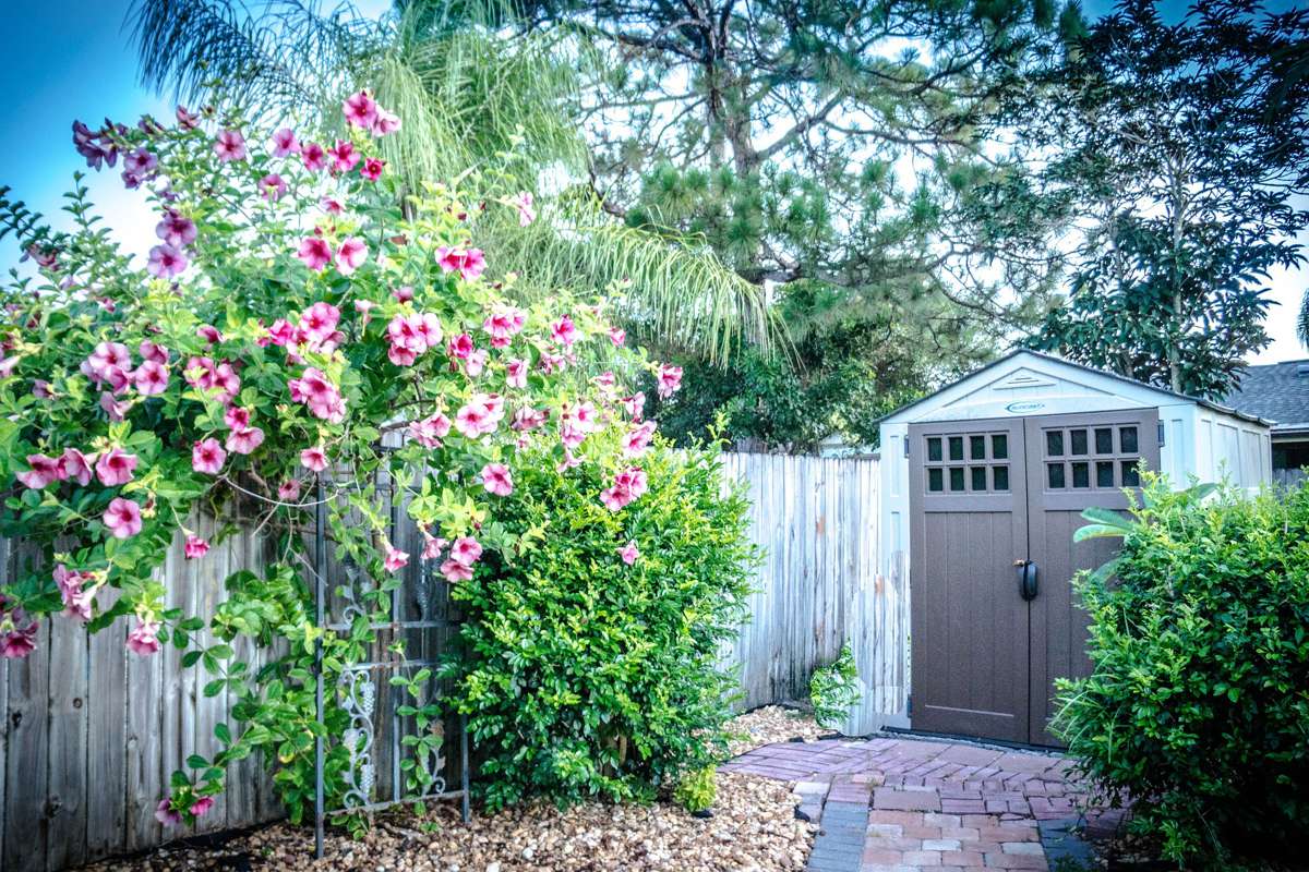 Sheds can solve your Storage problems