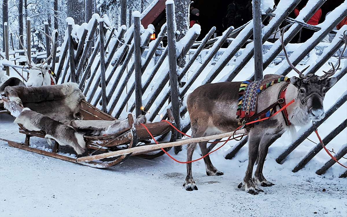 Building the perfect sleigh with Timoney 