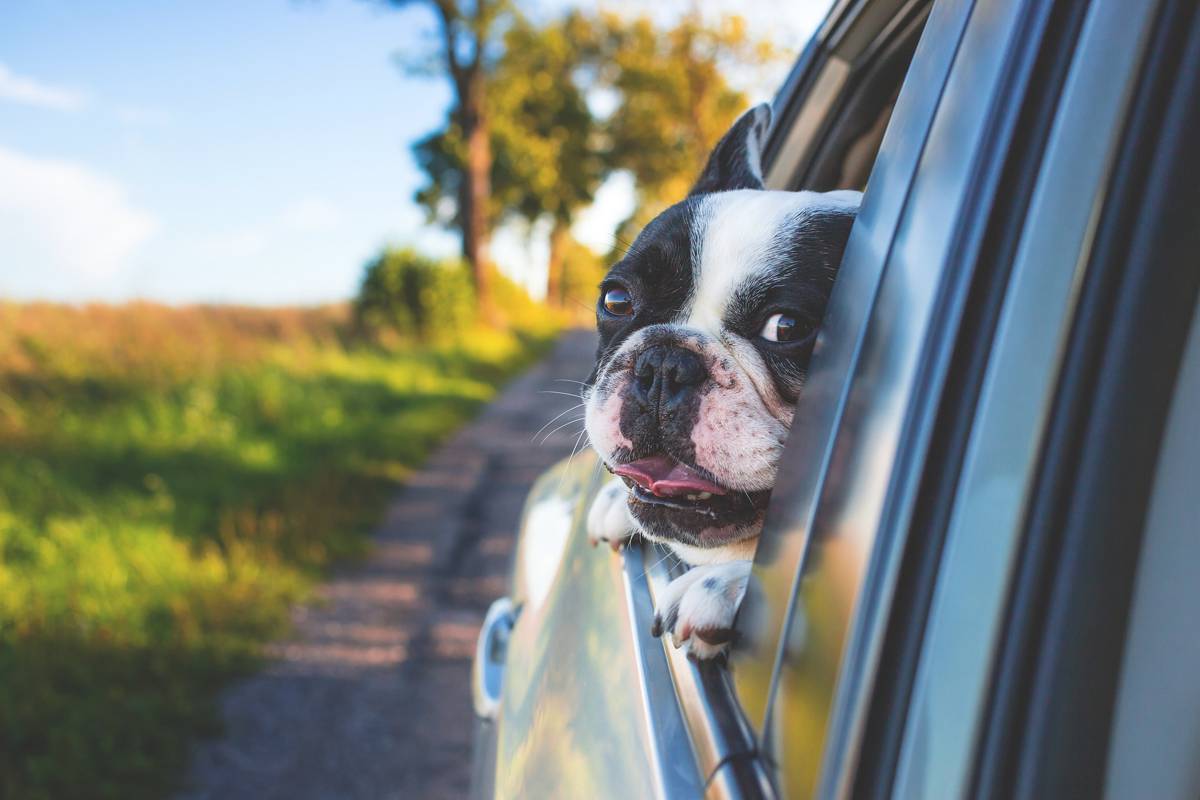 Staying safe on the roads as a new driver