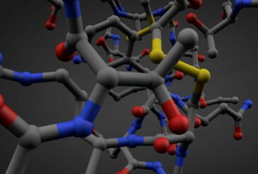 Chinese research team develops Polymers with a Metal Backbone