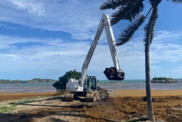 DEVELON Excavators extracting Toxic Algae in Martinique