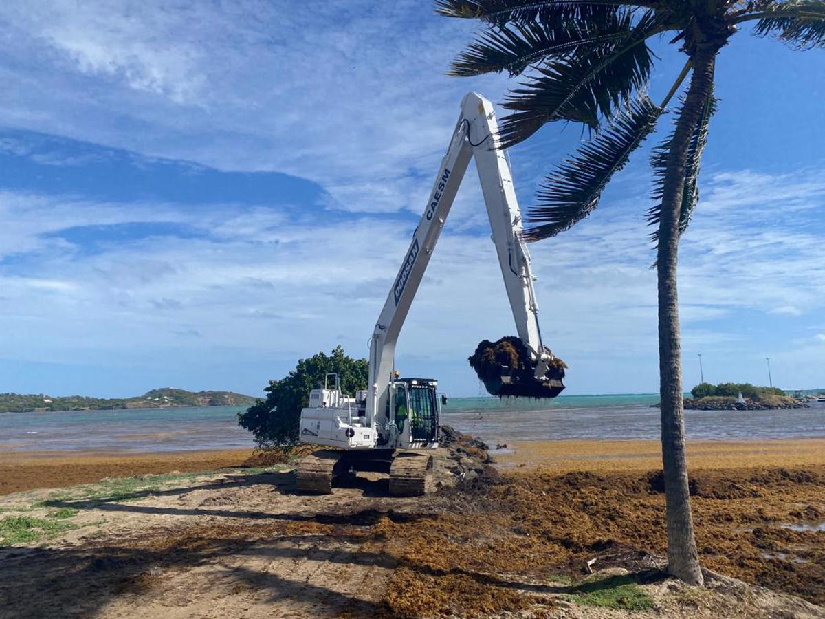 DEVELON Excavators extracting Toxic Algae in Martinique