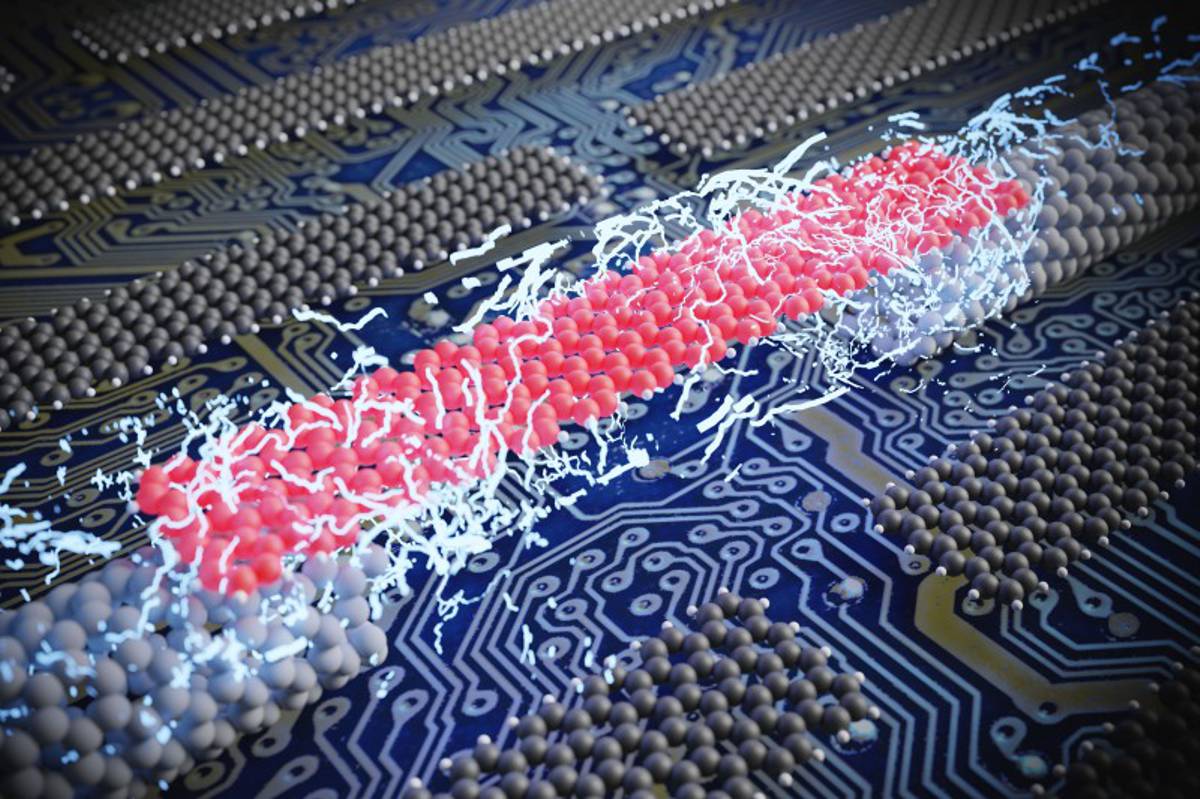 Empa researchers and their international collaborators have successfully attached carbon nanotube electrodes to individual atomically precise nanoribbons.