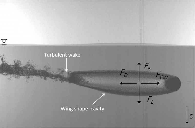Credit: Farrukh Kamoliddinov, Ivan U. Vakarelski, Sigurdur T. Thoroddsen, and Tadd T. TruscottA snapshot from one of the team’s videos, which shows a steady-moving horizontal sphere with attached air cavity formation.