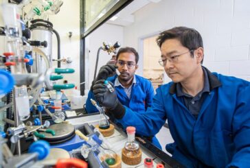 New Polymer can adapt to high and low temperature extremes