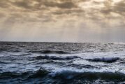 Affect of Wind-driven Ocean Circulation on Climate revealed