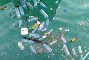 Removing microplastics from water with Biology