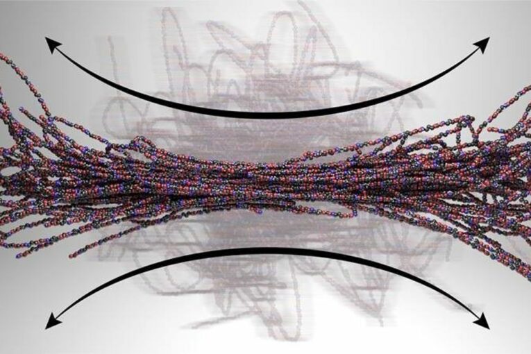 New computational methods fingerprints Polymer motions under flow