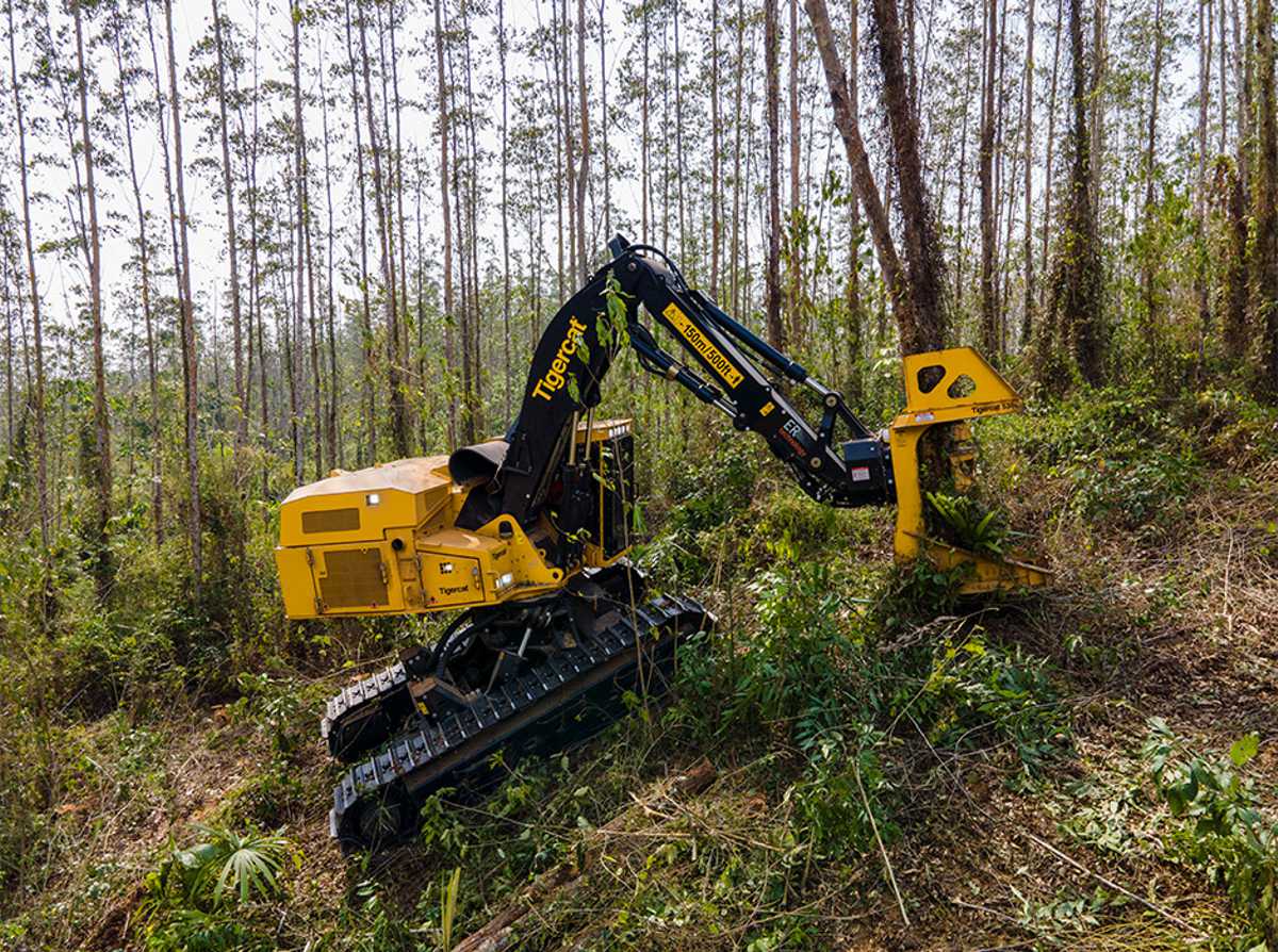 The L855E cutting uphill. The ER boom technology, high productivity and excellent stability on challenging terrain made the L855E the best solution for this sloping terrain harvesting application