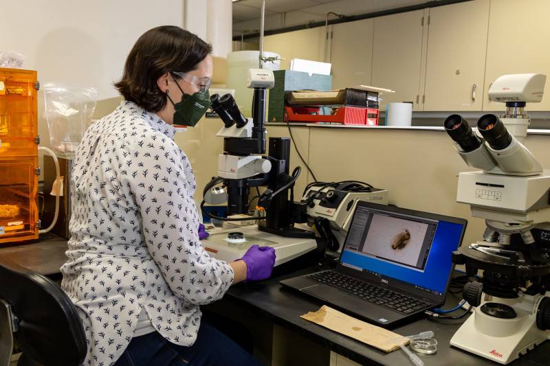 Louise Stevenson conducted toxicity and biodegradability testing of new lubricant additives in ORNL’s Environmental Toxicology Laboratory.