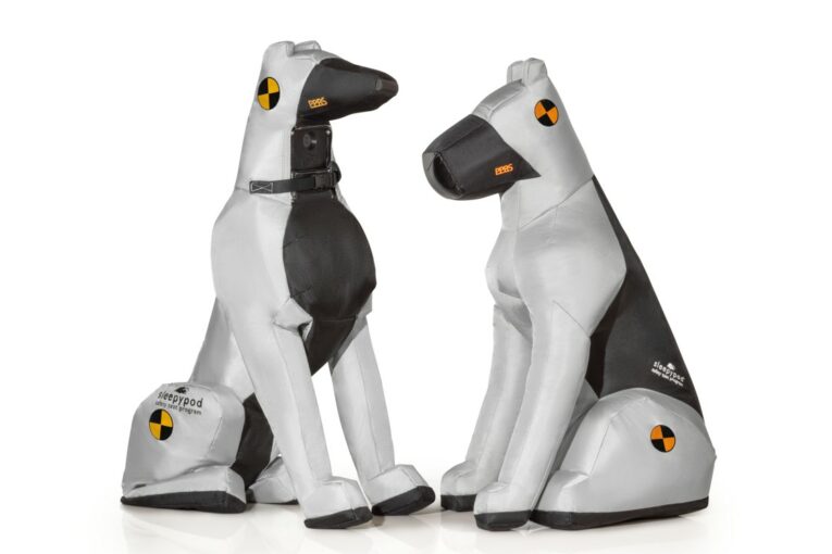 Dogs get the Crash Test Dummies Treatment