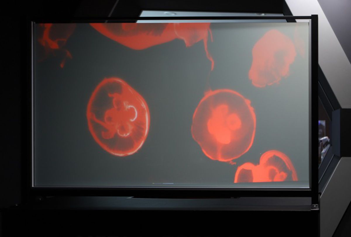 Credit: Korea Institute of Machinery and Materials (KIMM) Image of the large-sized NTS, jointly developed by the KIMM and Meta2People, being demonstrated (semitransparent)