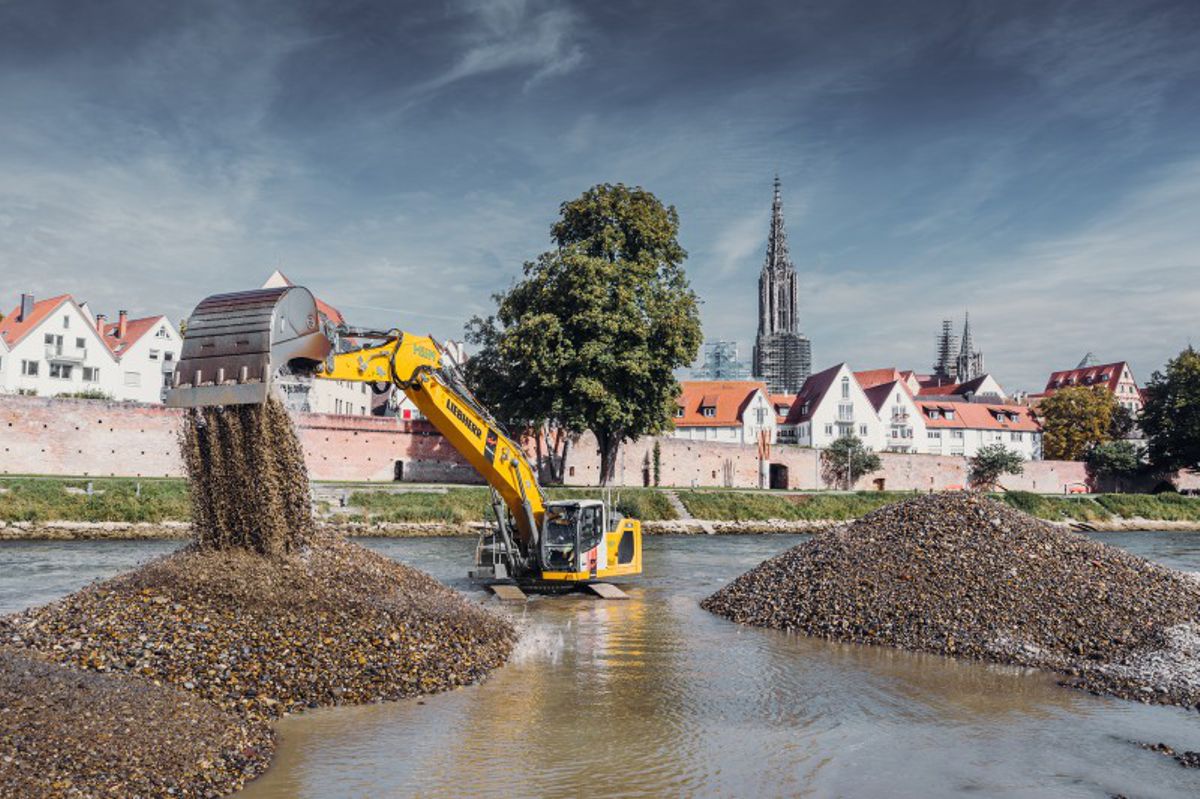 Engineering Against the Current to Safeguard the Danube