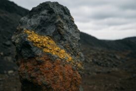 The Rapid Rise of a Man-Made Sedimentary Rock Born from Waste