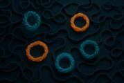Electric Charge Shapes the Future of Smart Materials