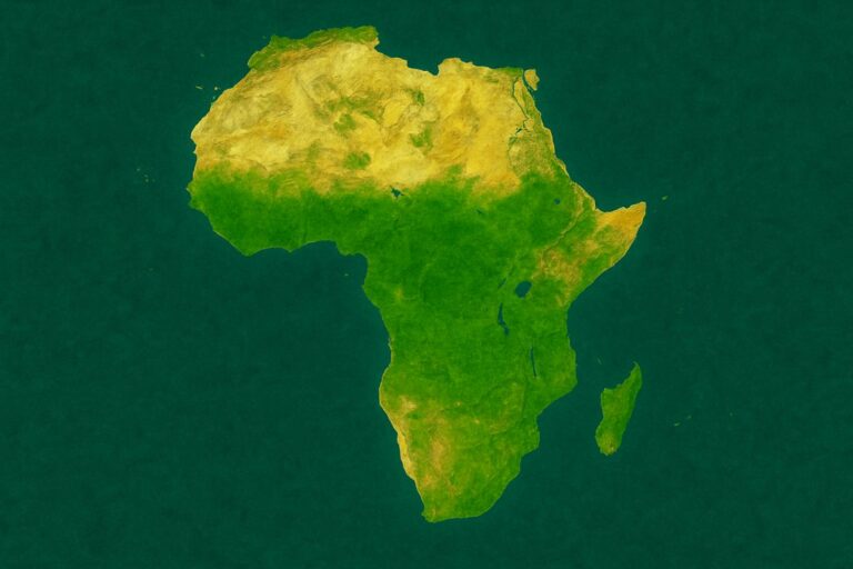 Unlocking Trust and Capital as Africa’s Carbon Markets Come of Age