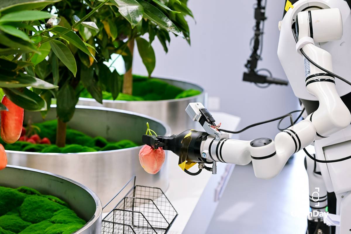 RealMan Opens Ground-breaking Humanoid Robotics Data Training Hub