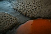 Hydrophilic Materials Lead the Way in Subsurface Oil Management